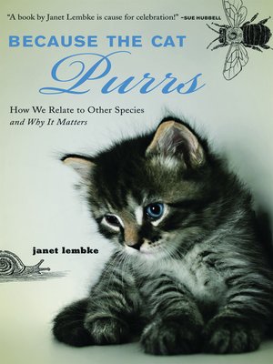 cover image of Because The Cat Purrs